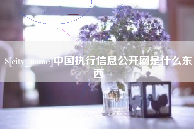 衡水中国执行信息公开网是什么东西