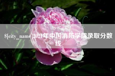 衡水2021年中国消防学院录取分数线