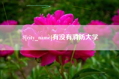衡水有没有消防大学