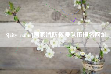 衡水国家消防救援队伍报名网址
