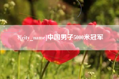 衡水中国男子5000米冠军