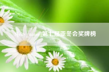 衡水第七届亚冬会奖牌榜