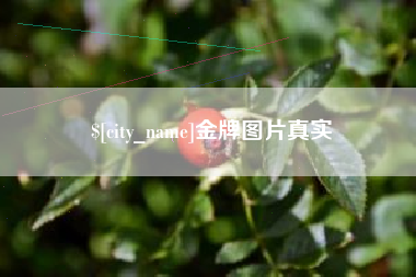 衡水金牌图片真实
