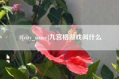 衡水九宫格游戏叫什么