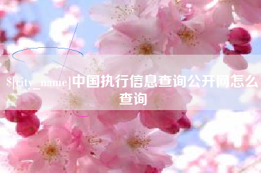 衡水中国执行信息查询公开网怎么查询