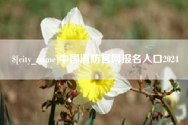 衡水中国消防官网报名入口2024
