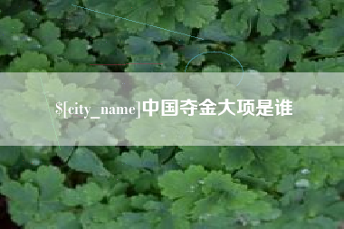 衡水中国夺金大项是谁