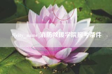 衡水消防救援学院报考条件
