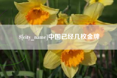 衡水中国已经几枚金牌