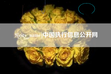 衡水中国执行信息公开网