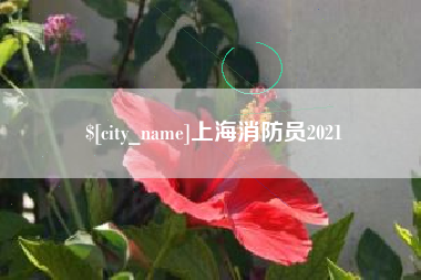 衡水上海消防员2021