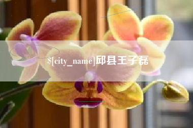 衡水邱县王子磊
