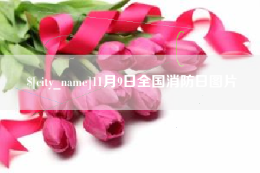 衡水11月9日全国消防日图片
