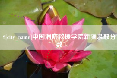 衡水中国消防救援学院新疆录取分数