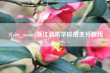 衡水浙江消防学校招生分数线