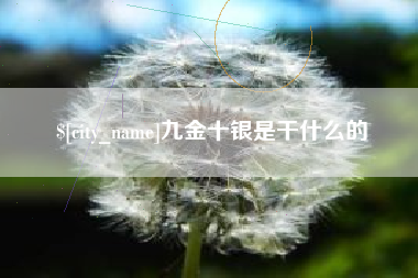 衡水九金十银是干什么的