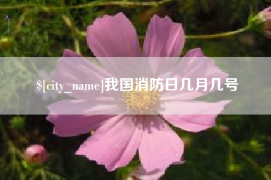 衡水我国消防日几月几号