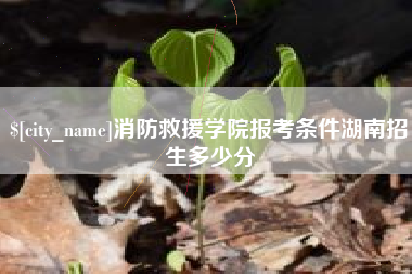 衡水消防救援学院报考条件湖南招生多少分