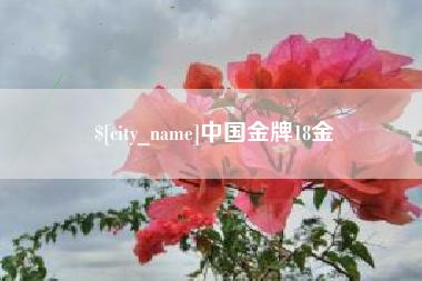 衡水中国金牌18金
