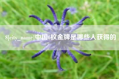衡水中国6枚金牌是哪些人获得的