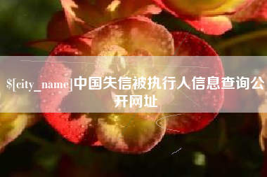 衡水中国失信被执行人信息查询公开网址