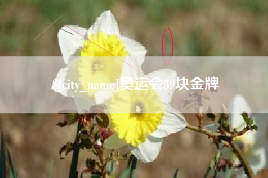 衡水奥运会39块金牌
