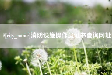 衡水消防设施操作员证书查询网址