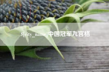 衡水中国冠军九宫格