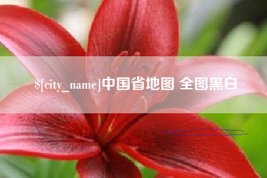 衡水中国省地图 全图黑白
