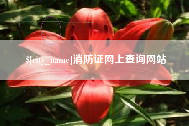 衡水消防证网上查询网站