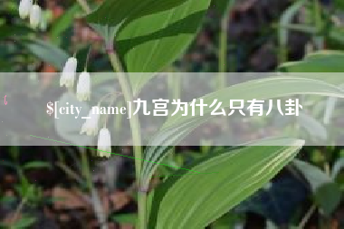 衡水九宫为什么只有八卦