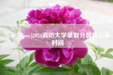 衡水2024消防大学录取分数线公布时间