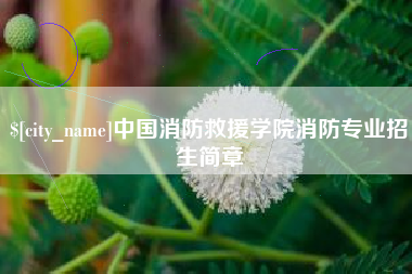衡水中国消防救援学院消防专业招生简章