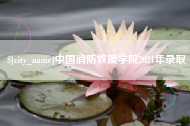 衡水中国消防救援学院2021年录取
