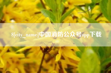 衡水中国消防公众号app下载