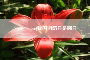 衡水我国消防日是哪日