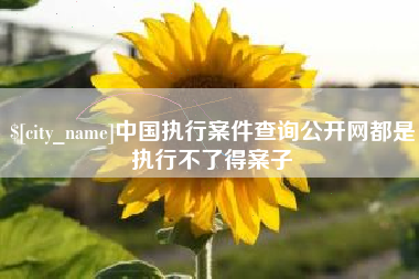 衡水中国执行案件查询公开网都是执行不了得案子
