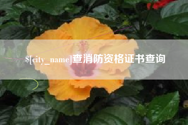 衡水查消防资格证书查询