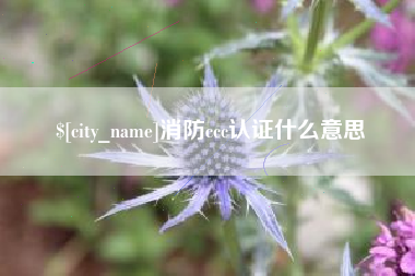 衡水消防ccc认证什么意思
