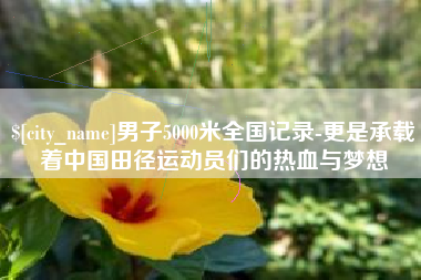 衡水男子5000米全国记录-更是承载着中国田径运动员们的热血与梦想