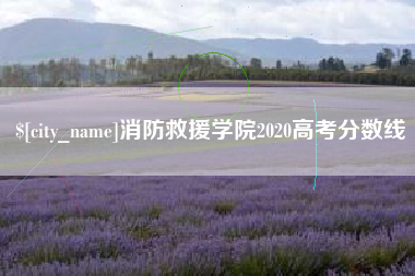 衡水消防救援学院2020高考分数线