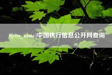 衡水中国执行信息公开网查询