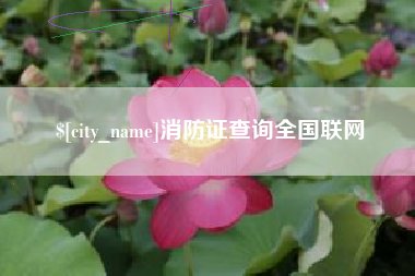 衡水消防证查询全国联网