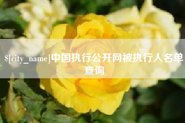 衡水中国执行公开网被执行人名单查询