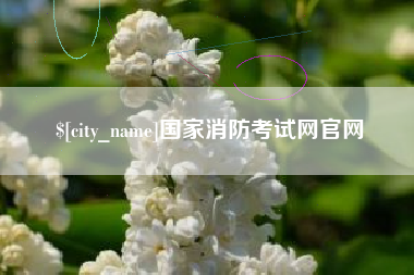 衡水国家消防考试网官网
