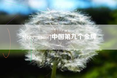 衡水中国第九个金牌
