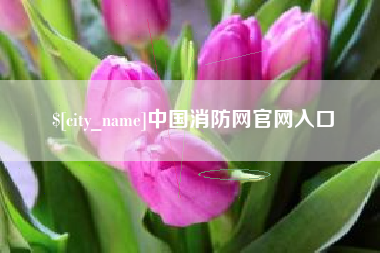 衡水中国消防网官网入口