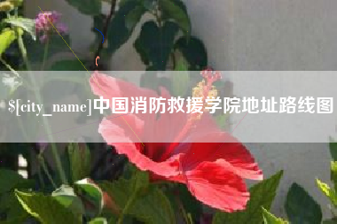 衡水中国消防救援学院地址路线图