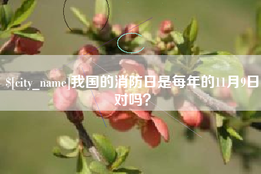 衡水我国的消防日是每年的11月9日对吗？