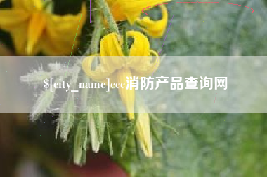 衡水ccc消防产品查询网